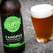 Ecliptic Canopus